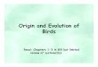 Origin and Evolution of Birds - University of Minnesota Duluthgniemi/Lecture 2 - Evolution.pdf · Origin and Evolution of Birds ... – Phylum: Chordata •Subphylum: Vertebrata –Class: