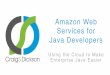 Amazon Web Services for Java Developers -  ??Amazon Web Services for Java Developers! ... â€¢ Core AWS Services for Java Developers! ... Elastic Block Store (EBS)! Web Server!