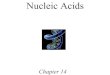 Nucleic Acids - Saddleback Goals 1. Describe the makeup of nucleosides, nucleotides, oligonucleotides, and polynucleotides. 2. Describe the primary structure of DNA and ... â€¢Nucleic