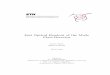Fast Optical Readout of the Mu3e Pixel Detector - PSI · PDF fileFast Optical Readout of the Mu3e Pixel Detector MasterThesis SimonCorrodi ... 7.3 Laser Platform ... which is of the