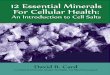 12 Essential Minerals - Hohm · PDF file2 12 ESSENTIAL MINERALS FOR CELLULAR HEALTH Schuessler cell salts are the 12 minerals essential to the body’s functions. In their preparation,