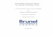Social Studies Education in Nigeria The Challenge of ...bura.brunel.ac.uk/bitstream/2438/7741/1/FulltextThesis.pdf · Social Studies Education in Nigeria: The Challenge of Building