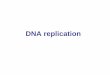 DNA replication -   of DNA replication in E. coli, where two units of DNA polymerse III are connected The lagging strand loops around ... Rolling-circle replication (circular DNA