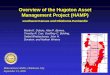 Overview of the Hugoton Asset Management Project (HAMP) · PDF fileRest of Kansas Hugoton Panoma Other ... (Material Balance OGIP calculations) ... reservoir simulation models validated