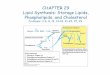 CHAPTER 29 Lipid Synthesis: Storage Lipids, …rcarlson/bcmb3100/Chap29.pdfCHAPTER 29 Lipid Synthesis: Storage Lipids, Phospholipids, and Cholesterol Problems: 3-6, 8, 12, 14-18, 21-22,