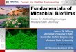 Center for Biofilm Engineering Fundamentals of Microbial ... · PDF fileCenter for Biofilm Engineering ... Biofilms undergo a “life-cycle ... Colgate-Palmolive Johnson & Johnson