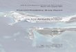 Financial Feasibility Study Report - Port of Guam Feasibility Study. Study Purpose & Goals The overarching purpose of the Financial Feasibility Study (FFS) is to assist the policy
