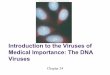 Medical Importance: The DNA -  · PDF fileMedical Importance: The DNA