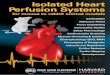 Isolated Heart ISOLATED PERFUSED HEART … PERFUSED HEART ISOLATED HEART PERFUSION SYSTEM Isolated Heart Perfusion Systems for mouse to rabbit animal models Cardioplegia Refractory