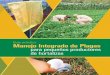 Guía práctica Manejo Integrado de Plagas · PDF fileGuía práctica Manejo Integrado de Plagas para pequeños productores de hortalizas < 5 1. Introducción Honduras enfrenta retos