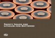 Safety Issues for Lithium-Ion Batteries - UL Issues for Lithium-Ion Batteries ... participating in leadership and expert ... Propulsion Battery System Safety Standard—Lithium-based