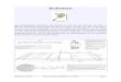 Badminton - kinzig- · PDF fileBadminton-Skript Kinzig-Schule Schlüchtern (O. Mai) Seite 3 Schlägerhaltung Falscher, sog. Bratpfannengriff und richtige Schlägerhaltung
