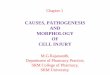 CAUSES, PATHOGENESIS AND MORPHOLOGY OF … PATHOGENESIS AND MORPHOLOGY OF CELL INJURY M.G.Rajanandh, Department of Pharmacy Practice, SRM College of Pharmacy, SRM University. Chapter