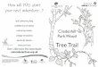 Credenhill Park Wood - The Woodland Trust Welcome to the Credenhill Park Wood tree trail. This trail will take you on a journey through the woods discovering fascinating trees on the