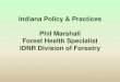 Indiana Policy & Practices Phil Marshall Forest Health ... Policy & Practices Phil Marshall Forest Health Specialist IDNR Division of Forestry Regulating Invasive Plants in Indiana
