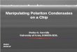 Manipulating Polariton Condensates on a Chip - Polariton Condensates on a Chip . ... state to obtain a population inversion, ... Increasing pump power . Polariton Quantum Pendulum