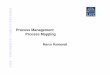 Process ManagementProcess Mapping - My LIUCmy.liuc.it/MatSup/2007/Y71020/DM - 2 process... · Business Process Mapping ... Steer process reengineering 2. ... Procter&Gamble where