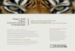 Tiger SSP Tiger - Association of Zoos & Aquariums: … by Mike Dulaney Tiger SSP Tiger Conservation Campaign Tigers once roamed across much of Asia. Today, fewer than 4,000 remain