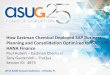 How Eastman Chemical Deployed SAP Business Planning · PDF fileHow Eastman Chemical Deployed SAP Business Planning and Consolidation Optimized for SAP S/4 ... • SAP BPC 7.5 based