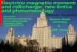 Neutrino magnetic moment and millicharge: new limits …now/now2014/web-content/TALKS/eSat/... · Neutrino magnetic moment and millicharge: new limits and phenomenology Moscow State