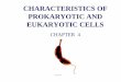 CHARACTERISTICS OF PROKARYOTIC AND ... OF PROKARYOTIC AND EUKARYOTIC CELLS CHAPTER 4 Detailed studies of cells have revealed that prokaryotes differ enough to be split into two large