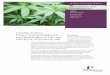 Cannabis Analysis: Potency Testing Identification ... · PDF fileAnalysis of cannabis has taken on new importance in light of legalized marijuana in several states of the USA. 