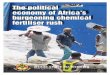 The political economy of AfricaÕs burgeoning chemical ...acbio.org.za/wp-content/uploads/2014/12/Fertilizer-report... · The political economy of AfricaÕs burgeoning chemical fertiliser