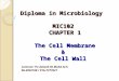 [PPT]Diploma In Microbiology MIC102 CHAPTER 1 Cell · Web view2008/07/07 · Diploma in Microbiology MIC102 CHAPTER 1 The Cell Membrane & The Cell Wall Lecturer: Pn Aslizah Bt Mohd