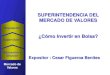SUPERINTENDENCIA DEL MERCADO DE VALORES · PDF fileSe dedican a la intermediación en el mercado de valores: Sociedades Agentes de Bolsa y Sociedades Intermediarias de Valores. 