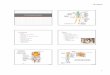 The Skeletal System - Linn–Benton Community Collegecf.linnbenton.edu/mathsci/bio/waitea/upload/Lecture_08.pdf · The Skeletal System Skull Thoracic cage (ribs and ... 5. Hematopoiesis