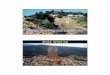 Mass Wasting and Landslides Mass Wasting - · PDF fileand affected by human activities ... In developed nations impacts of mass-wasting or landslides can ... may not tell the whole