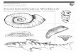 To Accompany the Paleontology Curriculum · PDF fileTo Accompany the Paleontology Curriculum ... (meat eaters) have long, sharp teeth with serrated ... were adapted for catching and