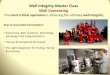Well Integrity Master Class Well Cementing - · PDF fileWell Integrity Master Class Well Cementing ... Test cores of cement subjected to gas flow of 6 L/min before the slurry achieved