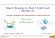 Quark Imaging at JLab 12 GeV and beyond (1) · PDF fileQuark Imaging at JLab 12 GeV and beyond (1) Tanja Horn Jefferson Lab ... properties arise from its quark and gluon ... – The