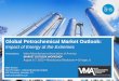 Global Petrochemical Market Outlookc.ymcdn.com/sites/ Petrochemical Market Outlook: Impact of Energy at the Extremes Presented to: Valve Manufacturers Association of America MARKET