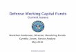 Defense Working Capital Funds - American Society of ... · PDF fileDefense Working Capital Funds Current Issues ... –Daily visibility / reporting may require higher cash balances