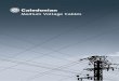 Company Profile - caledoniancable.cn Voltage Cables.pdf · Conductors up to 800mm² will be circular, ... - Cable stranding machine from Mali, ... Caledonian always recognises the