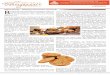 Baked Goods – Meeting Consumers’ Demands Breplace ...bakeryupdate.com/pdf/BU - Nov 2016.pdf · Biscuits, Parle Milk Shakti and Sunfeast Milk Magic. What is the size of this segment?