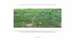 3.0 ANALYSIS OF TRADE OF INTSIA SPP. IN NEW GUINEA · PDF file3.0 ANALYSIS OF TRADE OF INTSIA SPP. IN NEW GUINEA ... timber size trees; ... of the Indian and Pacific Oceans (Verdcourt,