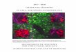 2017 - 2018 GRADUATE TRAINING IN CELL AND MOLECULAR · PDF file2017 - 2018 GRADUATE TRAINING IN CELL AND ... and graduate and postgraduate training in cell and molecular ... seminar