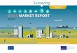 Surveying - European GNSS Agency · PDF fileGNSS Market Report | Issue 5, 2017 GNSS applications Applications in Land Surveying: n Cadastral surveying aims at establishing property