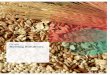 Grain Sorting · PDF fileGrain Sorting Applications. Your most challenging sort, conquered. 2 Accept Reject Wheat An application sample test on wheat, ... appearance on colour, size