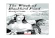 The Witch of Blackbird Pond - Home - Rainbow … Witch of Blackbird Pond Study Guide by Rebecca Gilleland For the novel by Elizabeth George Speare Grades 5-7 Reproducible Pages #319