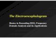 Basics in Recording EEG, Frequency Domain Analysis …apsychoserver.psychofizz.psych.arizona.edu/JJBARepri… ·  · 2008-03-10The Electroencephalogram Basics in Recording EEG, Frequency