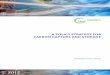 A Policy Strategy for Carbon Capture and Storage POLICY STRATEGY FOR CARBON CAPTURE AND STORAGE INTERNATIONAL ENERGY AGENCY The International Energy Agency (IEA), an autonomous agency,