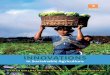 Innov AtIonS - · PDF fileInnov AtIonS in Sustainable ... For sustainable impact, ... society’ through its five Centres of Excellence that cater to shared facilities in the context