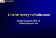 Uterine Artery Embolization - Lieberman's · PDF filefor potential bilateral Uterine Artery Embolization (UAE) therapy Jennifer Green man HMS III ... Mrs. L was the most recent patient