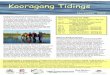 Kooragang Tidings November2007final email - Archived …archive.lls.nsw.gov.au/.../496614/archive-kooragang-tidings-nov-07.pdf · Kooragang Tidings Our heartfelt thanks ... pleased