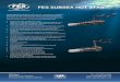FES SUBSEA HOT · PDF fileFES SUBSEA HOT STAB ... to API 6A / ISO 10423 PR2 Annex F & API 17D / ISO 13628-4 Annex L. All sizes and ratings available as pressure retaining BLIND STABS
