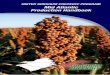 UNITED SORGHUM CHECKOFF PROGRAM Mid Atlantic · PDF fileelcome to the United Sorghum Checkoff Program’s Mid Atlantic Production Handbook. ... Stages of sorghum growth: Stage 0: